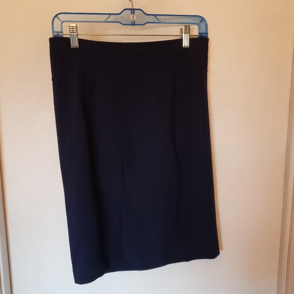 Ann Taylor skirt